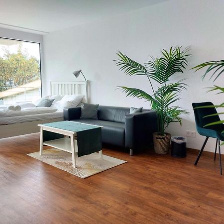 Rooftop Apartments - Modernes Studioapartment Fuer 3 Personen Langenau Exterior foto
